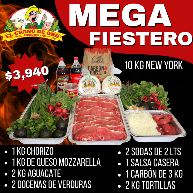 Paq #9 Mega Fiestero New York