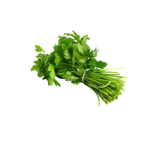 Cilantro mazo