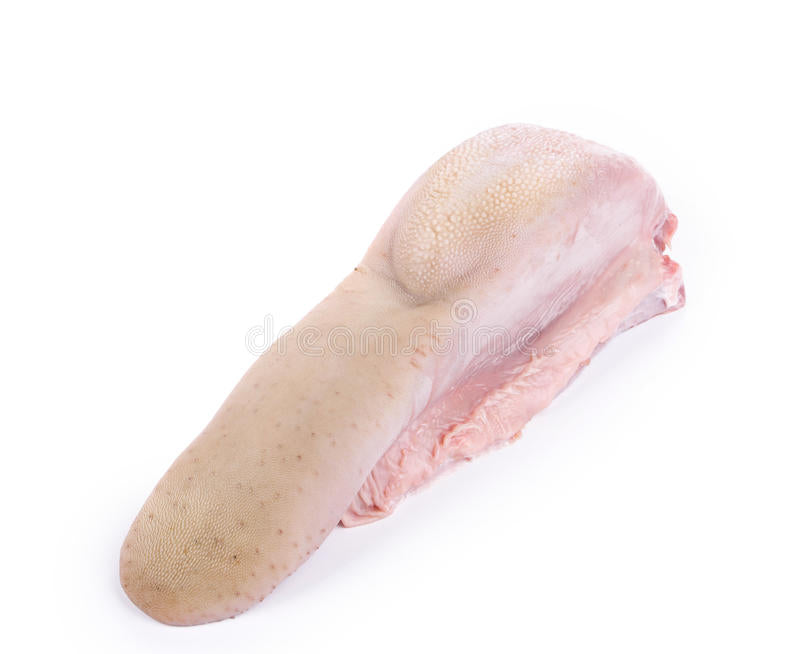 Lengua de res kg (venta por pieza ,peso aprox 1.300 a 2kg )